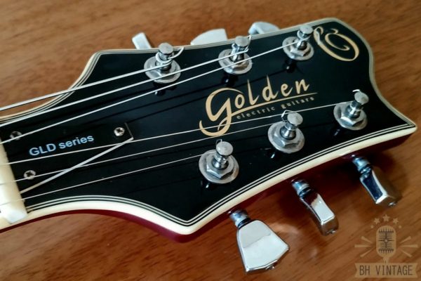 Guitarra Golden Les Paul GDL series